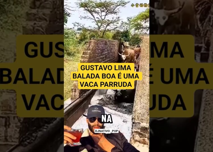 GUSTAVO LIMA – BALADA BOA É UMA VACA PARRUDA #celebridades #sertanejobrasileiro #artista #fofocas