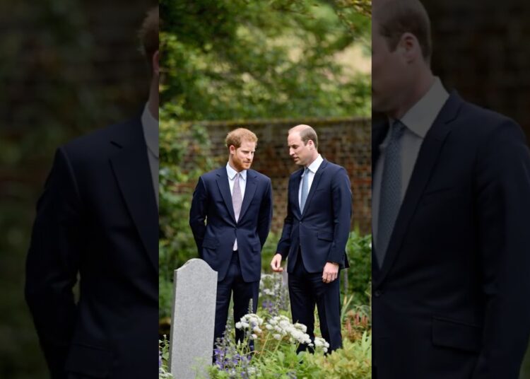 Prince William and Prince Harry meeting #royal #princewilliam #princeharry #diana