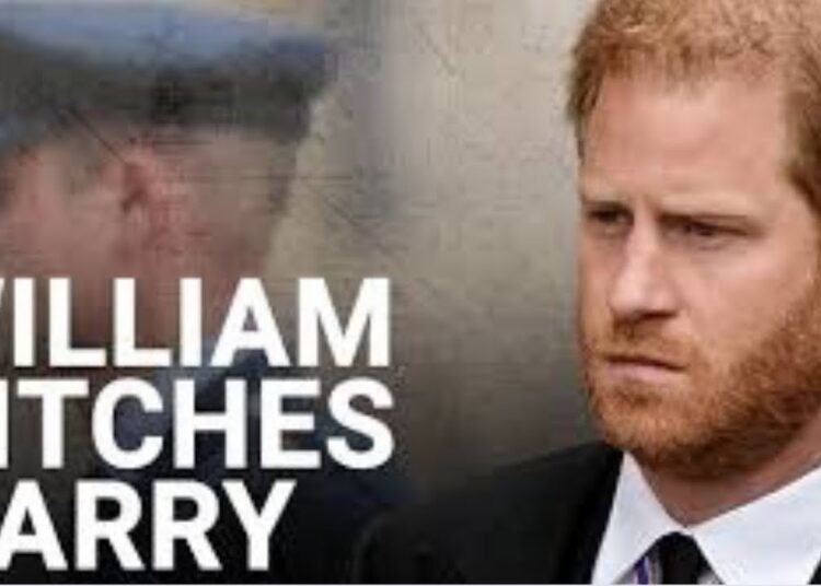 WILLIAM VS HARRY & THE SECRET ROYAL LEGAL BATTLE THAT EXPLODED AFTER THIS #princeharrry #royal