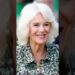 Camilla expõe praga “terrível” que assombra a realeza!