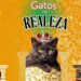 Gatos na Realeza #gatinhos #realeza