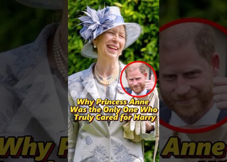 Why Princess Anne Was the Only One Who Truly Cared for Harry?#shorts #royal #princessanne #harry#usa