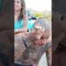 BUZEIRA DEIXOU TODO MUNDO CARECA #buzeira #fofocas #famosos #influencer #humor #cabelo #hairstyle