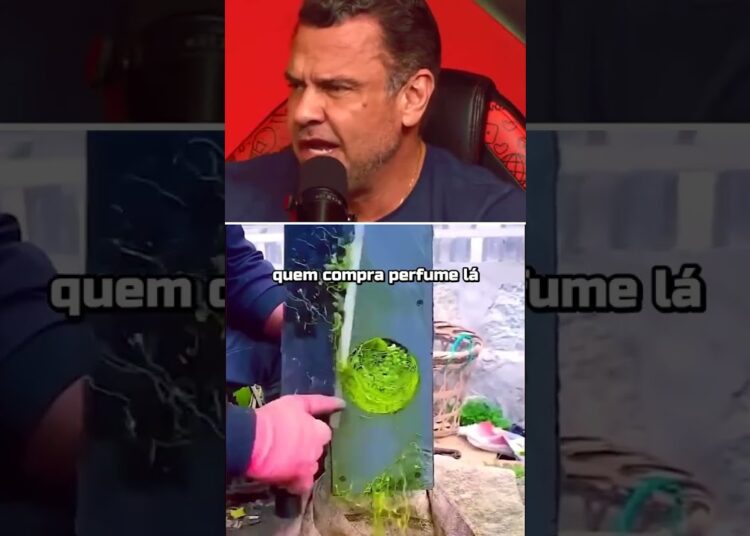Perfumes de Celebridades Revelados