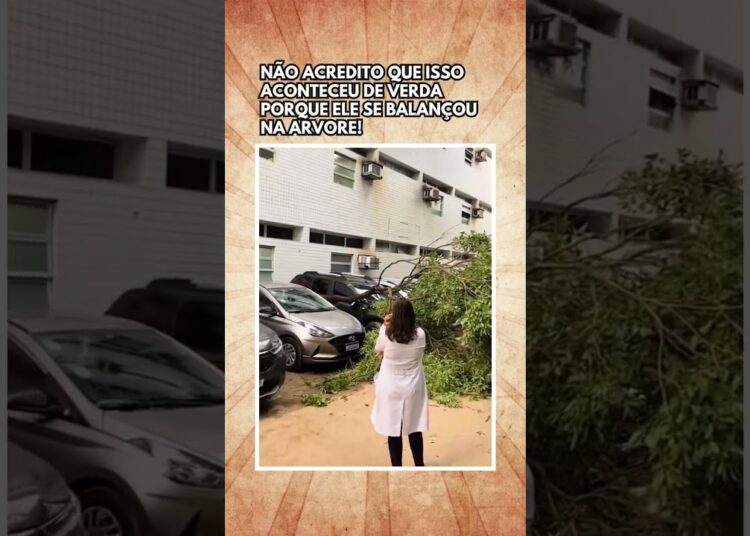 Inacreditável kkkk #cortesbrunorosacantor #fofocas #humor #engraçado #memes #carros