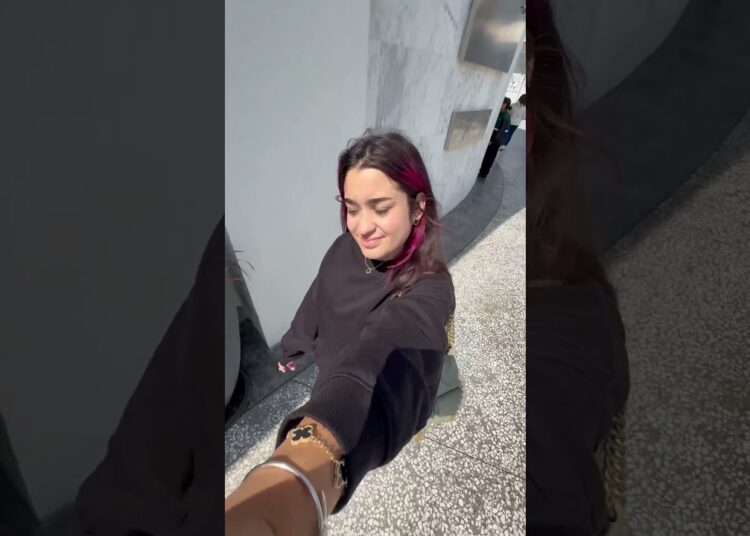 COMPLETEI A COLEÇÃO DO LABUBU *Emilly Vick