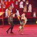 Estrelas caninas