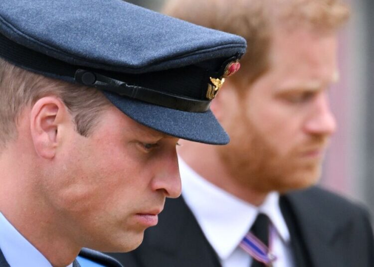 A briga de Harry com William 'pior do que nunca', apesar das esperanças de reconciliação - notícias de celebridades - entretenimento