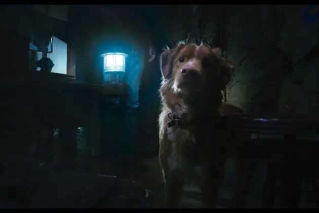 A foto de terror dos filmes da IFC estreia o primeiro olhar assustador da perspectiva de Brave Pup