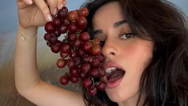 Camila Cabello corre o risco de dizer mau funcionamento do guarda -roupa no palco