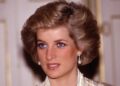 Como a princesa Diana teria lidado com o príncipe William e Harry Rift