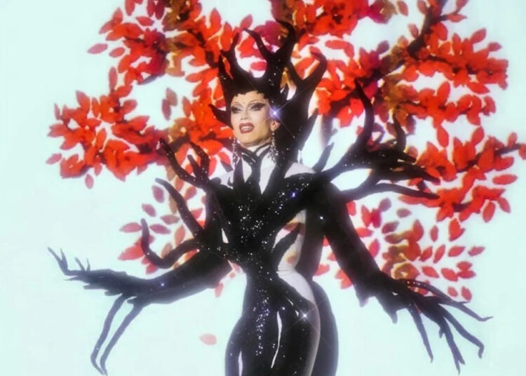 Em 10 anos, 'Nightgowns', de Sasha Velor