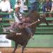 Entertainment this week: Truckee Pro Rodeo, Donner Summit Railroad History Tour and more!