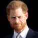 Estrangeiro Royal fica sincero sobre a briga do príncipe Harry com a família
