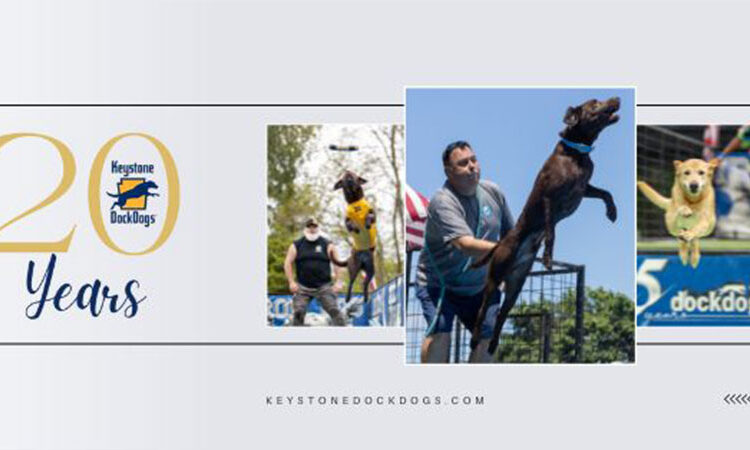 Festival de música para churrasco e cervejas | Bloomsburg, PA