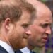 Harry alertou que uma coisa nunca acontecerá, mesmo que a família 'remexe as coisas' - Notícias de celebridades - entretenimento