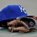 Kansas City Royals Top Prospect joga 5 entradas perfeitas em Single-A
