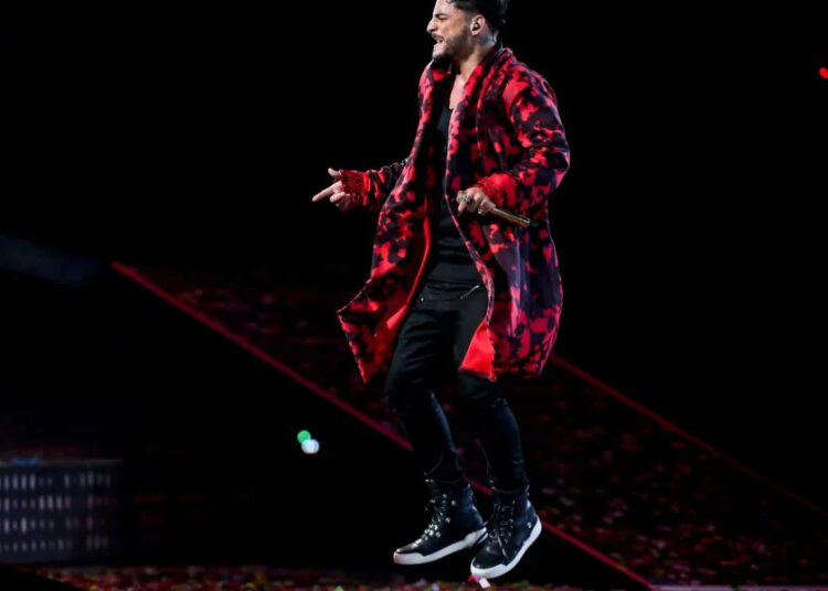 Maluma Stops Show para chamar a mãe por trazer infantil para seu concerto da Cidade do México