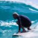 Meghan Markle chama o príncipe Harry de uma raposa sobre o vídeo de surf