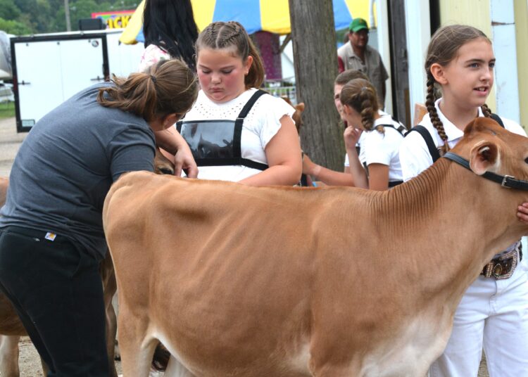 O entretenimento destaca os eventos na 125ª Feira do Condado de Somerset