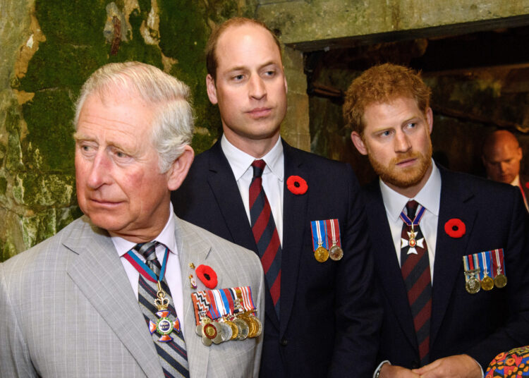 O ex -Butler do rei Charles se lembra de 'sem animosidade' entre o Royals, questiona as alegações do príncipe Harry - revista Star