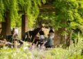 O novo local de música de São Francisco? Seu Jardim Botânico - Marin Independent Journal