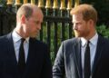 O príncipe William 'confrontou Harry sobre Meghan Markle antes do casamento - Notícias de celebridades - entretenimento