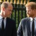 O príncipe William 'confrontou Harry sobre Meghan Markle antes do casamento - Notícias de celebridades - entretenimento