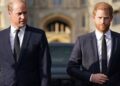 O príncipe William se recusa a conhecer 'o príncipe Harry durante a viagem no Reino Unido - Celebrity News - entretenimento