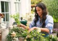 O retorno da Netflix de Meghan Markle desprezado pela Royals, o Palace tem 'prioridades muito maiores': especialistas