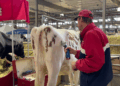 Os dias temáticos deste ano na Great New York State Fair | Entretenimento