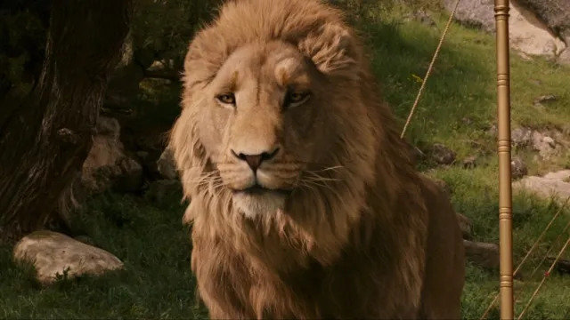 Os vídeos do conjunto de Narnia de Greta Gerwig mostram a roupa de White Witch e mais