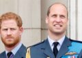 Príncipe William para desempenhar um grande papel na reunião do príncipe Harry Reconcillation - Royals - Notícias