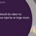 Que medidas devem ser tomadas para evitar ferimentos graves em grandes eventos musicais?