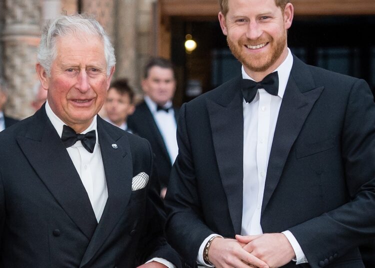 Rei Carlos III, o príncipe Harry pode estar perto de reconciliar