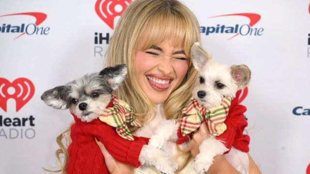 Sabrina Carpenter quer que Tom Holland expresse seu cachorro em um filme
