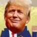 'South Park' fica extra atrevido na nova queda de Trump com classificação X