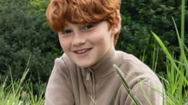 Vídeos de conjunto de Harry Potter apresentam weasley, mostre cena icônica do primeiro livro
