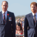William e Harry receberam 'importantes avisos' sobre a vida real