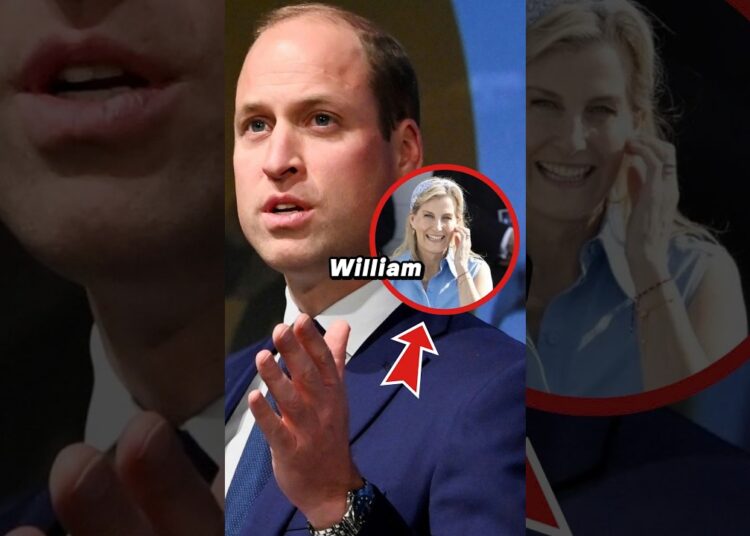 William Shocks Camilla with Historic Decision to Transfer Her Duties to Sophie at royal Summit