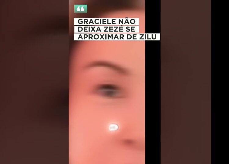 #fofocas #fofocasfamosos #zezedecamargo #zilu
