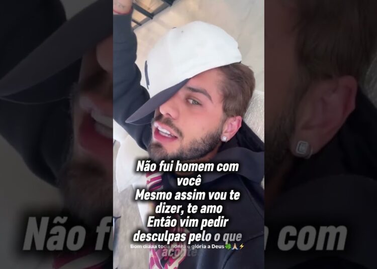 ZÉ NÃO FUI HOMEM PRA VOCÊ ✍️#famosos #zefelipe #fofocas #fofoca #ststus #pagode #indiretas