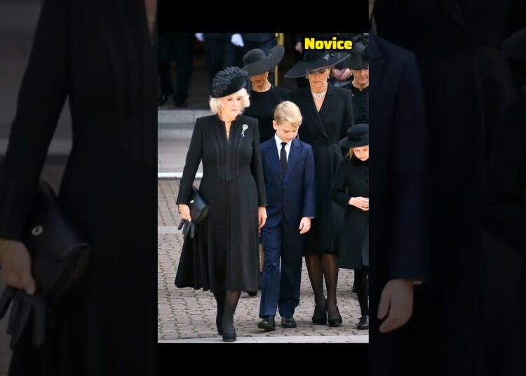 Princess Catherine Queen Camilla and other royals are sad #britishroyalfamily #royals