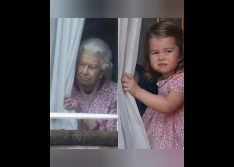 When Royals Look Alike… 😲