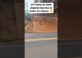 #shorts #shortsviral #shortvideo #viral #viralvideo #fofoca #fofocas #chiquititas