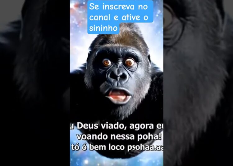 esses aí são os mais famosos do Brasil ajude a impulsionar o canal se inscrevam ativar o sininho