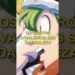 Os quatro cavaleiros do apocalipse são da realeza #nanatsunotaizai #anime #percival #lancelot