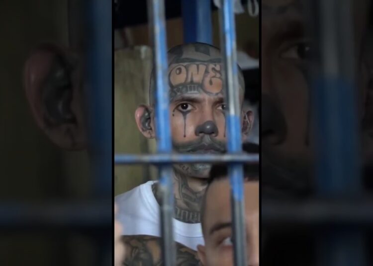 BUKELE Agora os VAGABUNDOS se ESCONDEM Antes Eram CELEBRIDADES Nós Demos de VOLTA o Pais ao Povo 🇸🇻