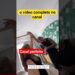 LÉO SANTANA E LORE NA ITÁLIA #duet #diy #noticias #fofoca #FAMOSOS #FOFOCA