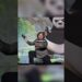 Jack Black é o ator mais generoso!#curiosidades #noticias #brazil